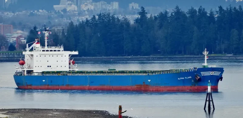 ALPHA FLAME Bulk Carrier IMO 9185774