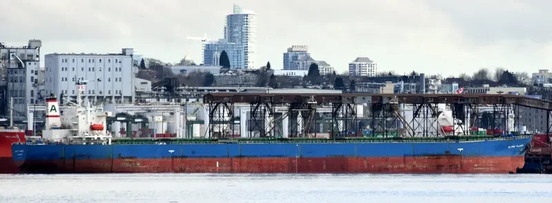 ALPHA FLAME Bulk Carrier IMO 9185774 photo 2