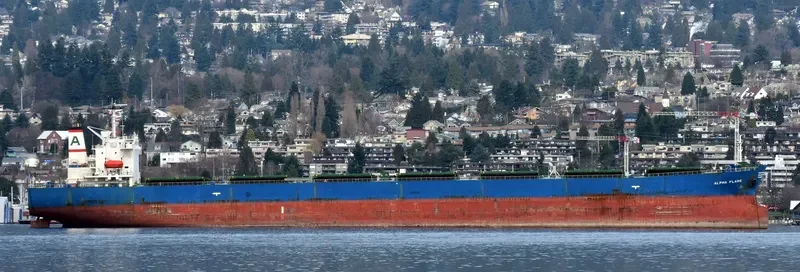 ALPHA FLAME Bulk Carrier IMO 9185774 photo 4