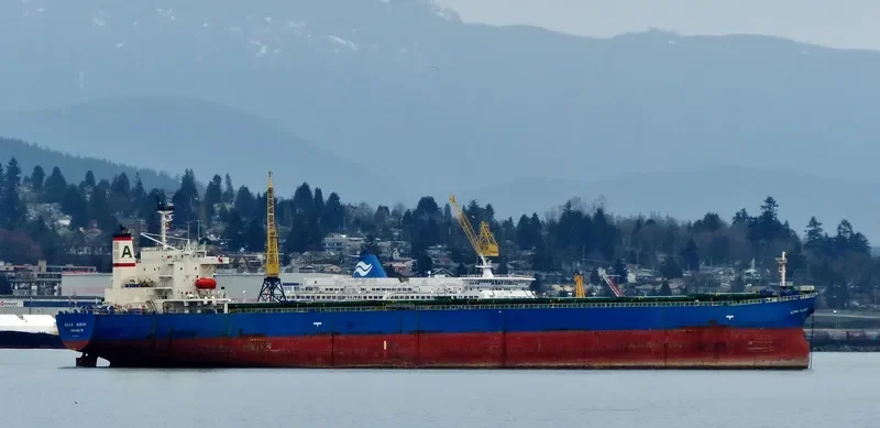 ALPHA FLAME Bulk Carrier IMO 9185774 photo 6