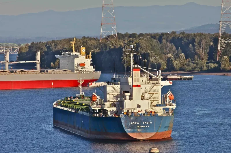 ALPHA FLAME Bulk Carrier IMO 9185774 photo 10