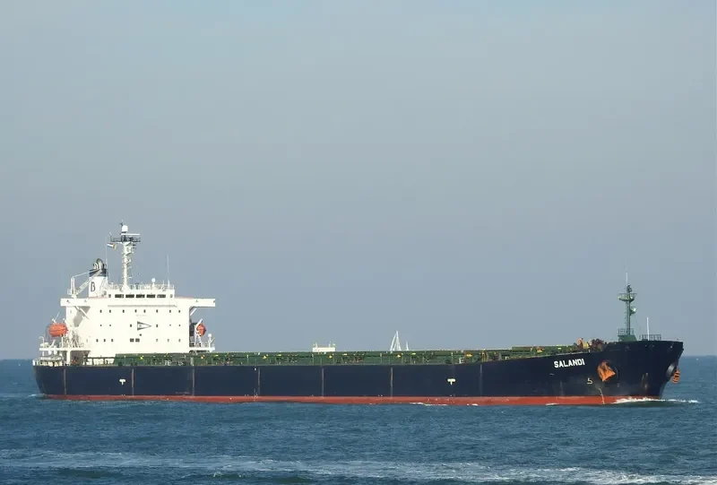 ZHONG ZHE 6 Bulk Carrier IMO 9185786