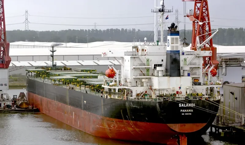 ZHONG ZHE 6 Bulk Carrier IMO 9185786 photo 3