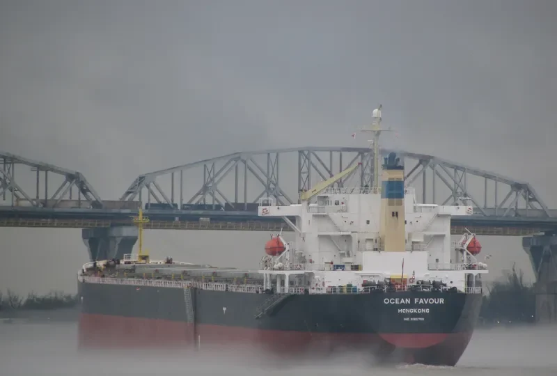 MARINE FORTUNE Bulk Carrier IMO 9185798 photo 3