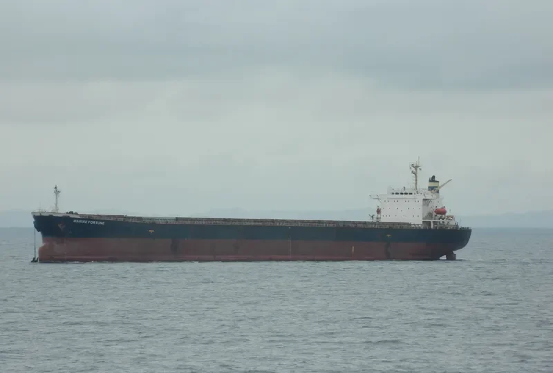 MARINE FORTUNE Bulk Carrier IMO 9185798 photo 6