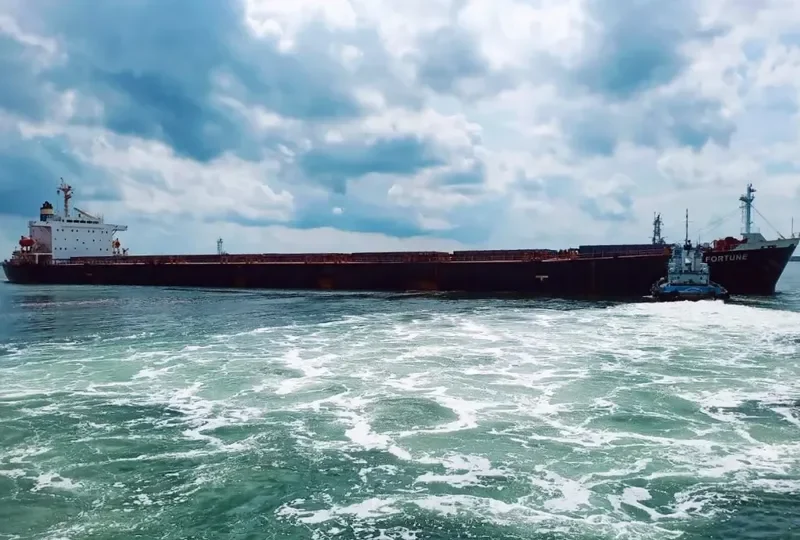 MARINE FORTUNE Bulk Carrier IMO 9185798 photo 7