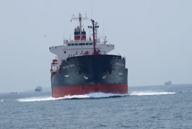 GOLDEN SAPLING Tanker IMO 9185841 photo 3