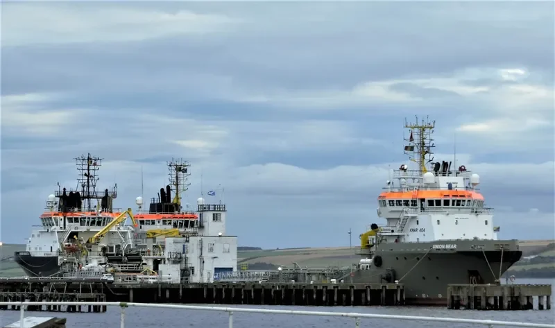 BEAR General Cargo IMO 9185932