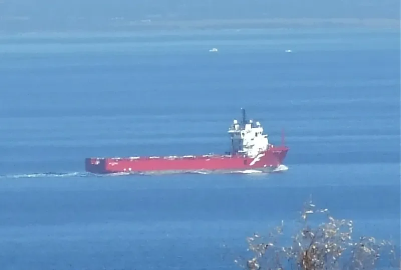 SEA MEADOW 22 Offshore Vessel IMO 9186144 photo 4
