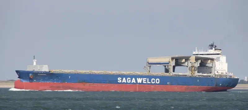 IKEBANA Container Ship IMO 9186209
