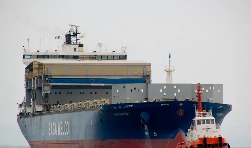IKEBANA Container Ship IMO 9186209 photo 7