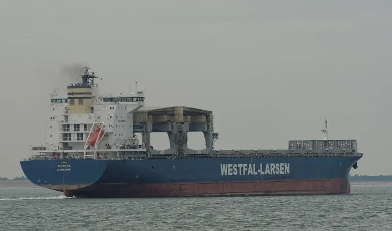 IKEBANA Container Ship IMO 9186209 photo 10
