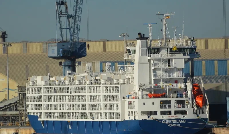 QUEENSLAND General Cargo IMO 9186390 photo 3