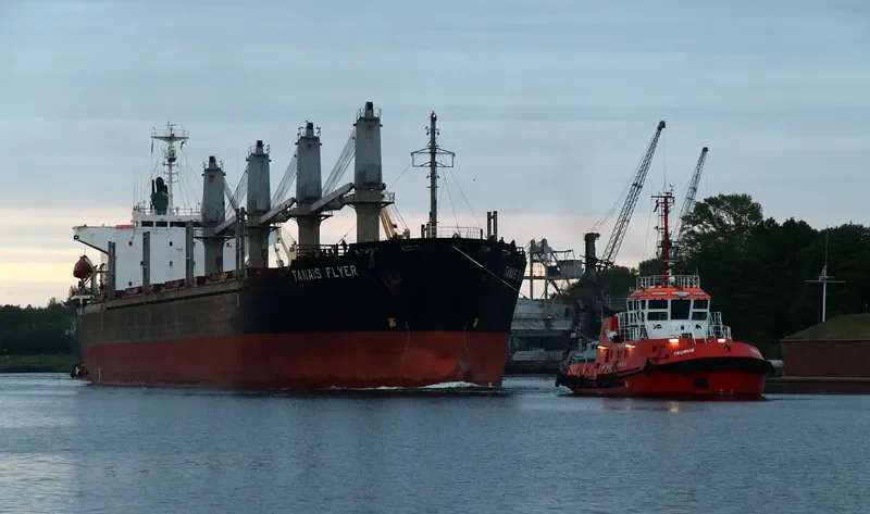 TANAIS FLYER Bulk Carrier IMO 9186479