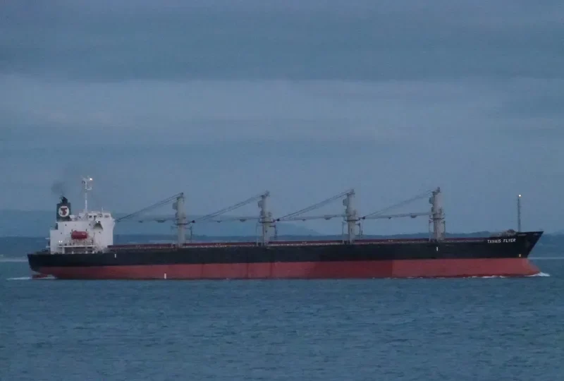 TANAIS FLYER Bulk Carrier IMO 9186479 photo 2