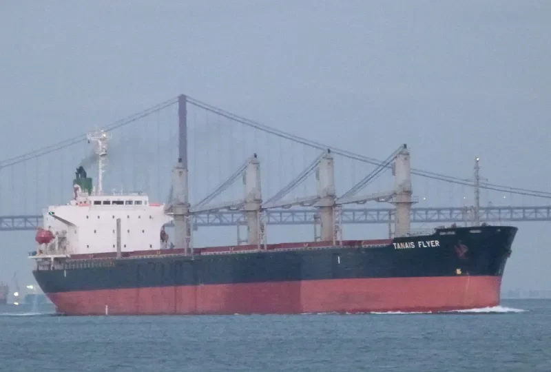 TANAIS FLYER Bulk Carrier IMO 9186479 photo 3