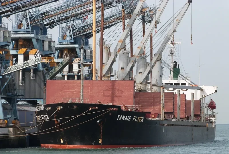 TANAIS FLYER Bulk Carrier IMO 9186479 photo 4