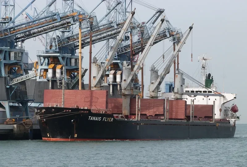 TANAIS FLYER Bulk Carrier IMO 9186479 photo 5