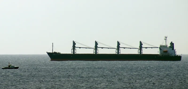 TANAIS FLYER Bulk Carrier IMO 9186479 photo 6