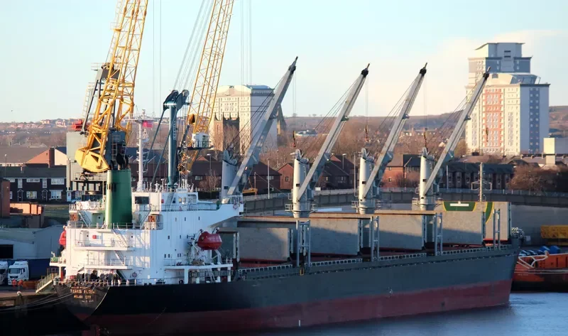 TANAIS FLYER Bulk Carrier IMO 9186479 photo 7