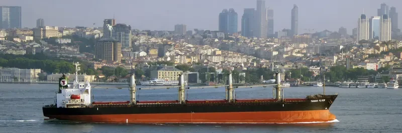 TANAIS FLYER Bulk Carrier IMO 9186479 photo 8