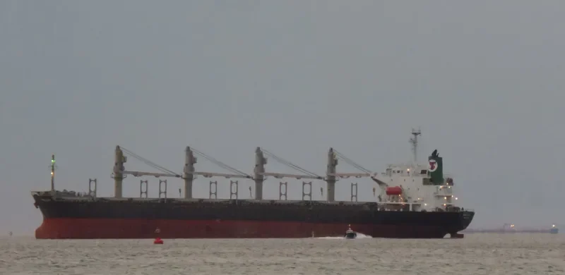 TANAIS FLYER Bulk Carrier IMO 9186479 photo 9
