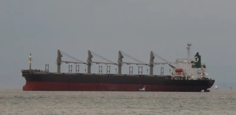 TANAIS FLYER Bulk Carrier IMO 9186479 photo 10