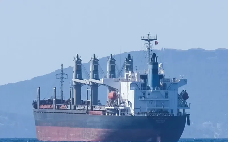 SEA LEO Bulk Carrier IMO 9186481