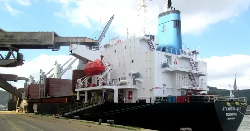 SEA LEO Bulk Carrier IMO 9186481 photo 2