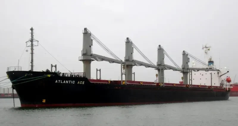 SEA LEO Bulk Carrier IMO 9186481 photo 3