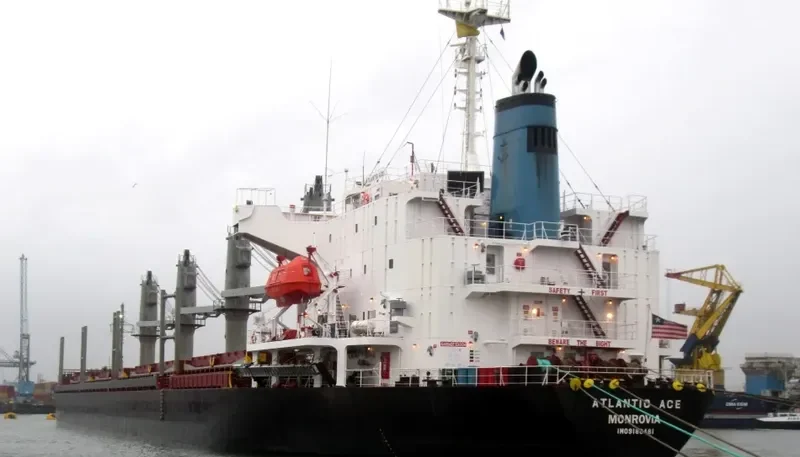 SEA LEO Bulk Carrier IMO 9186481 photo 4