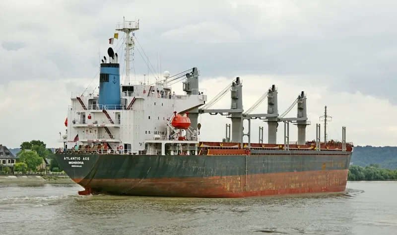 SEA LEO Bulk Carrier IMO 9186481 photo 5