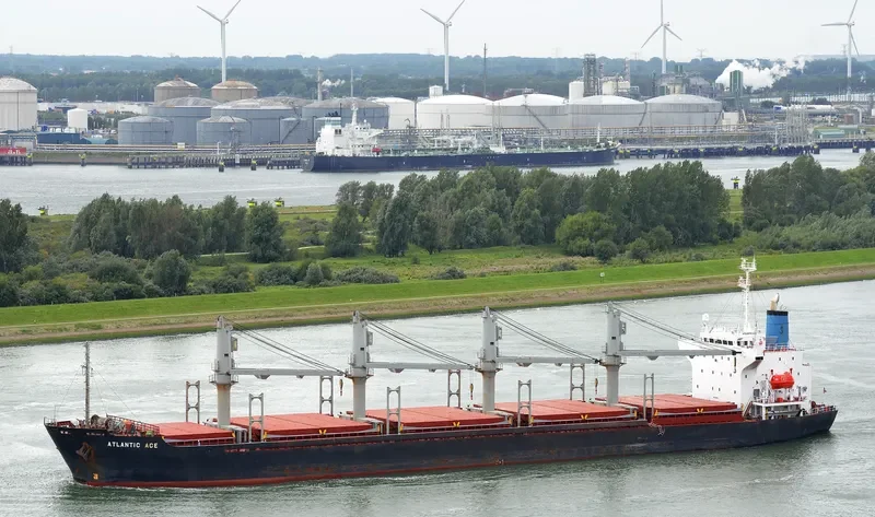 SEA LEO Bulk Carrier IMO 9186481 photo 7