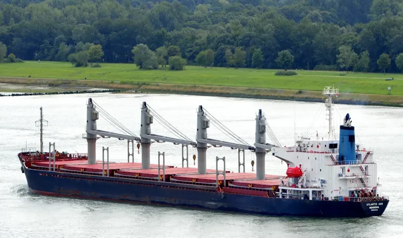 SEA LEO Bulk Carrier IMO 9186481 photo 9