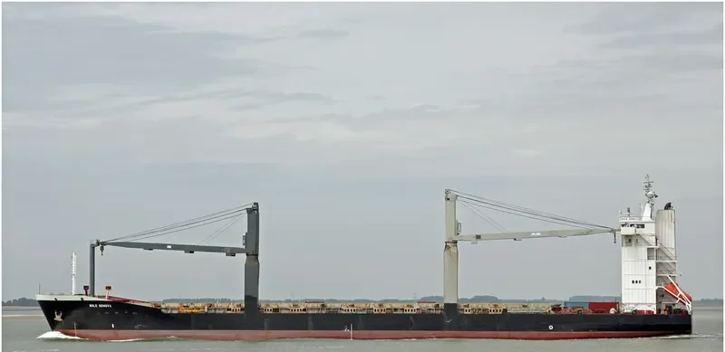 HAN XIN General Cargo IMO 9186754 photo 3