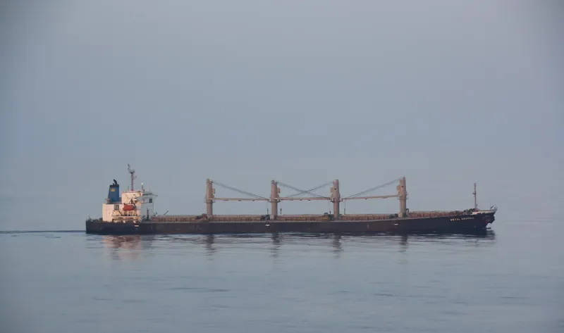 ROYAL ARSENAL Bulk Carrier IMO 9186766