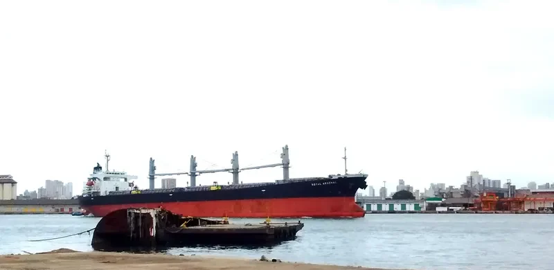 ROYAL ARSENAL Bulk Carrier IMO 9186766 photo 2