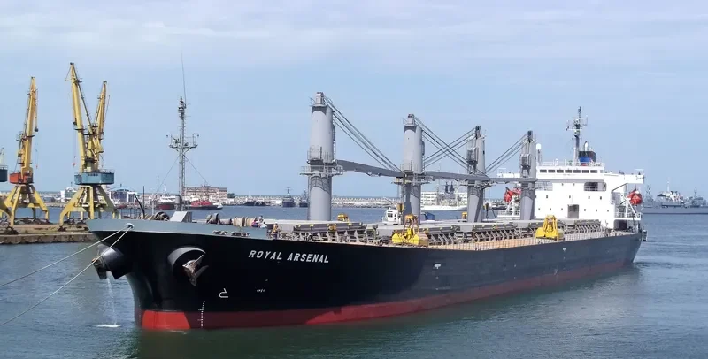ROYAL ARSENAL Bulk Carrier IMO 9186766 photo 6