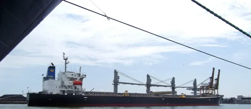 ROYAL ARSENAL Bulk Carrier IMO 9186766 photo 7
