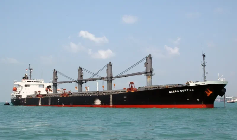 ROYAL ARSENAL Bulk Carrier IMO 9186766 photo 10