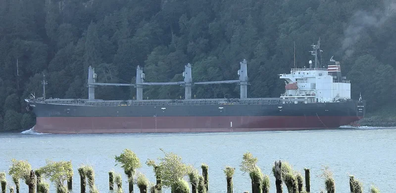 SRIKANDI INDONESIA 19 Bulk Carrier IMO 9186778 photo 2