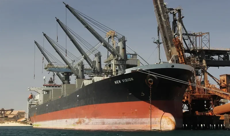SRIKANDI INDONESIA 19 Bulk Carrier IMO 9186778 photo 8