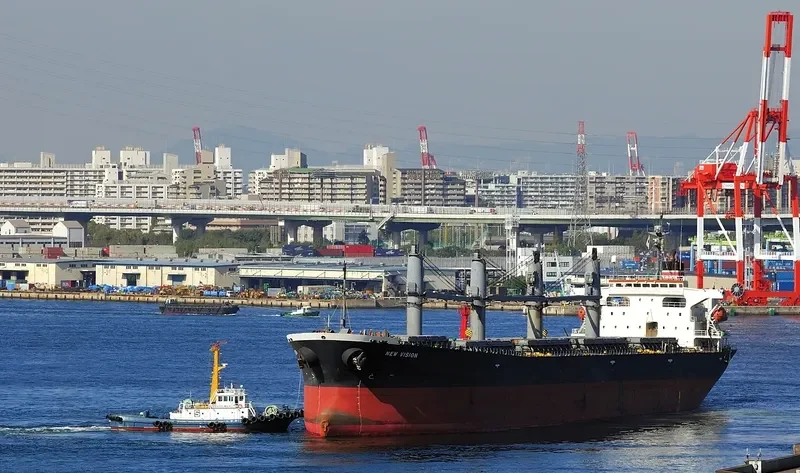 SRIKANDI INDONESIA 19 Bulk Carrier IMO 9186778 photo 9