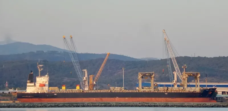 TEAL ARROW General Cargo IMO 9186780