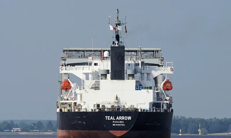 TEAL ARROW General Cargo IMO 9186780 photo 2