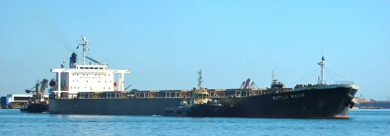 CATHERINE BRIGHT Bulk Carrier IMO 9186924