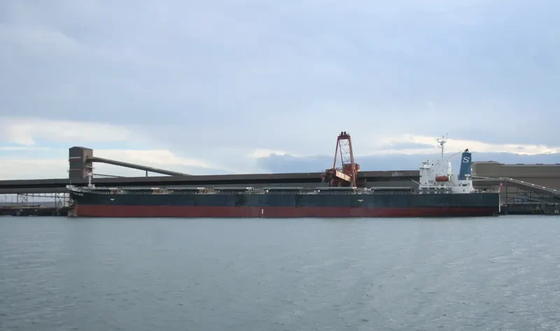 CATHERINE BRIGHT Bulk Carrier IMO 9186924 photo 2