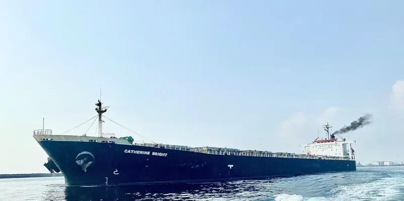 CATHERINE BRIGHT Bulk Carrier IMO 9186924 photo 4