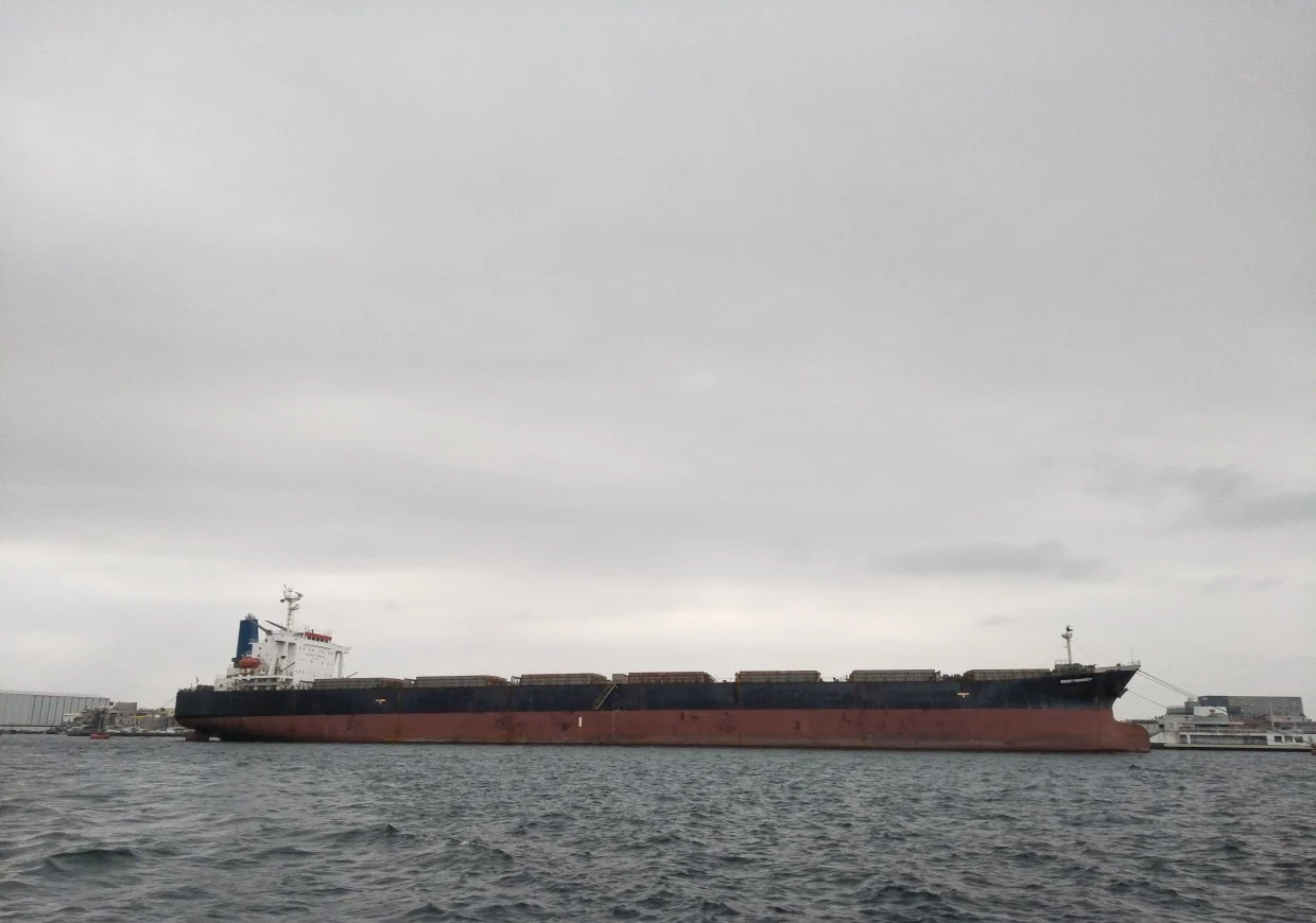 CATHERINE BRIGHT Bulk Carrier IMO 9186924 photo 6