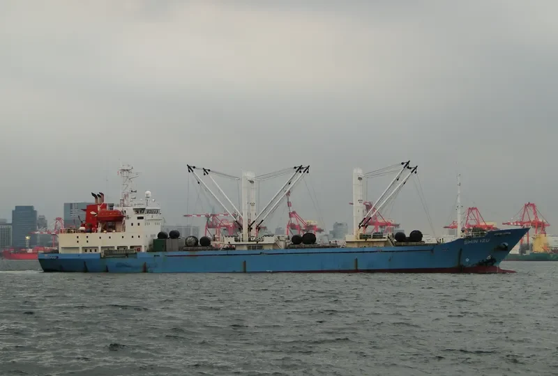 SHIN IZU General Cargo IMO 9186936 photo 2